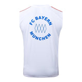 Kit Treino Manga Cava FC Bayern Munique 2025-26