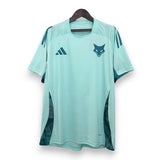 Camisola Cruzeiro Treino Azul Claro 25/26